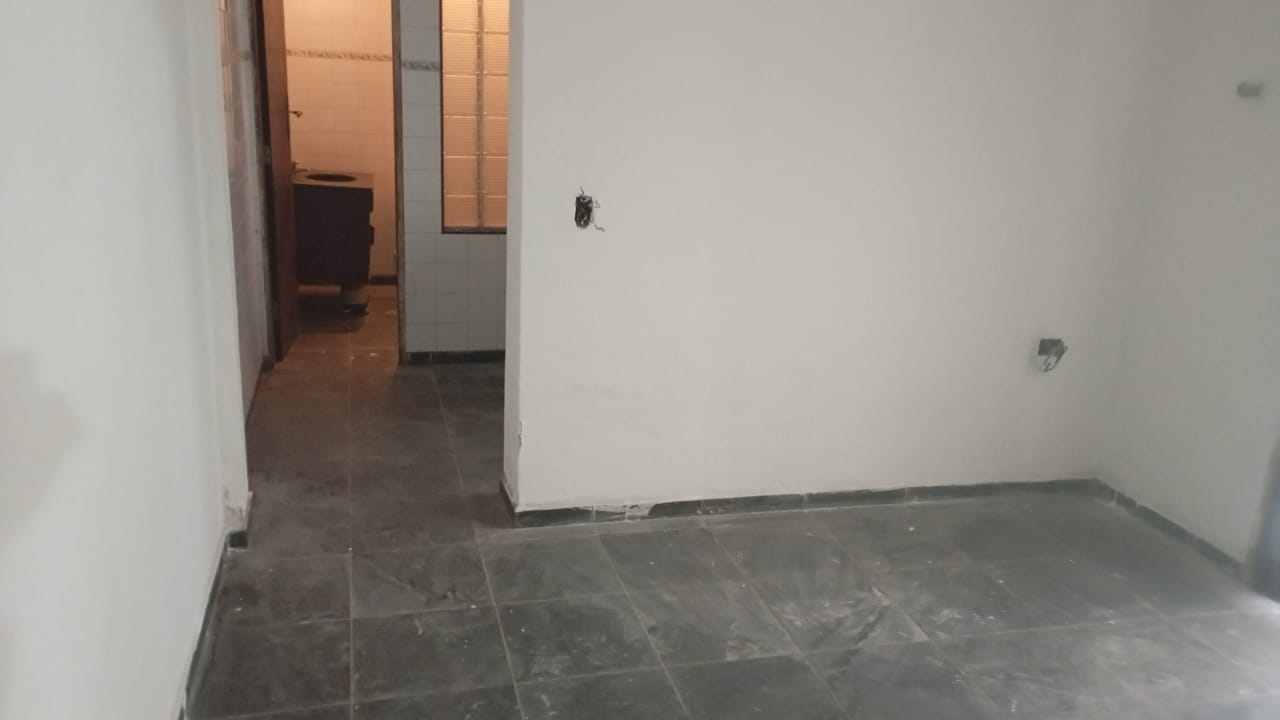 293561